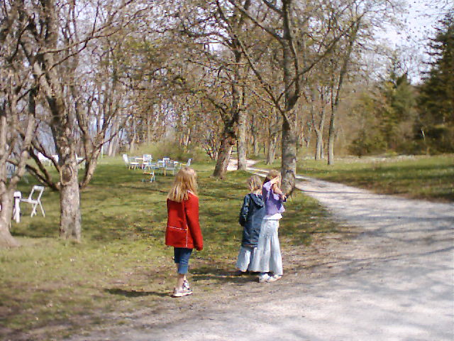 Bild 29.jpg